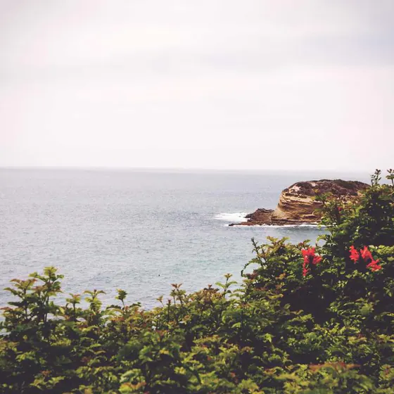 Cable OBD estándar para motocicletas Euro5